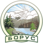 Лого Борус
